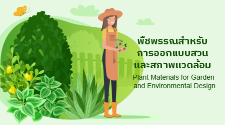 พืชพรรณสำหรับการออกแบบสวนและสภาพแวดล้อม | Plant Materials for Garden and Environmental Design 00109