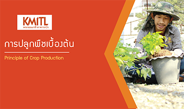 การปลูกพืชเบื้องต้น | Principle of Crop Production 00254