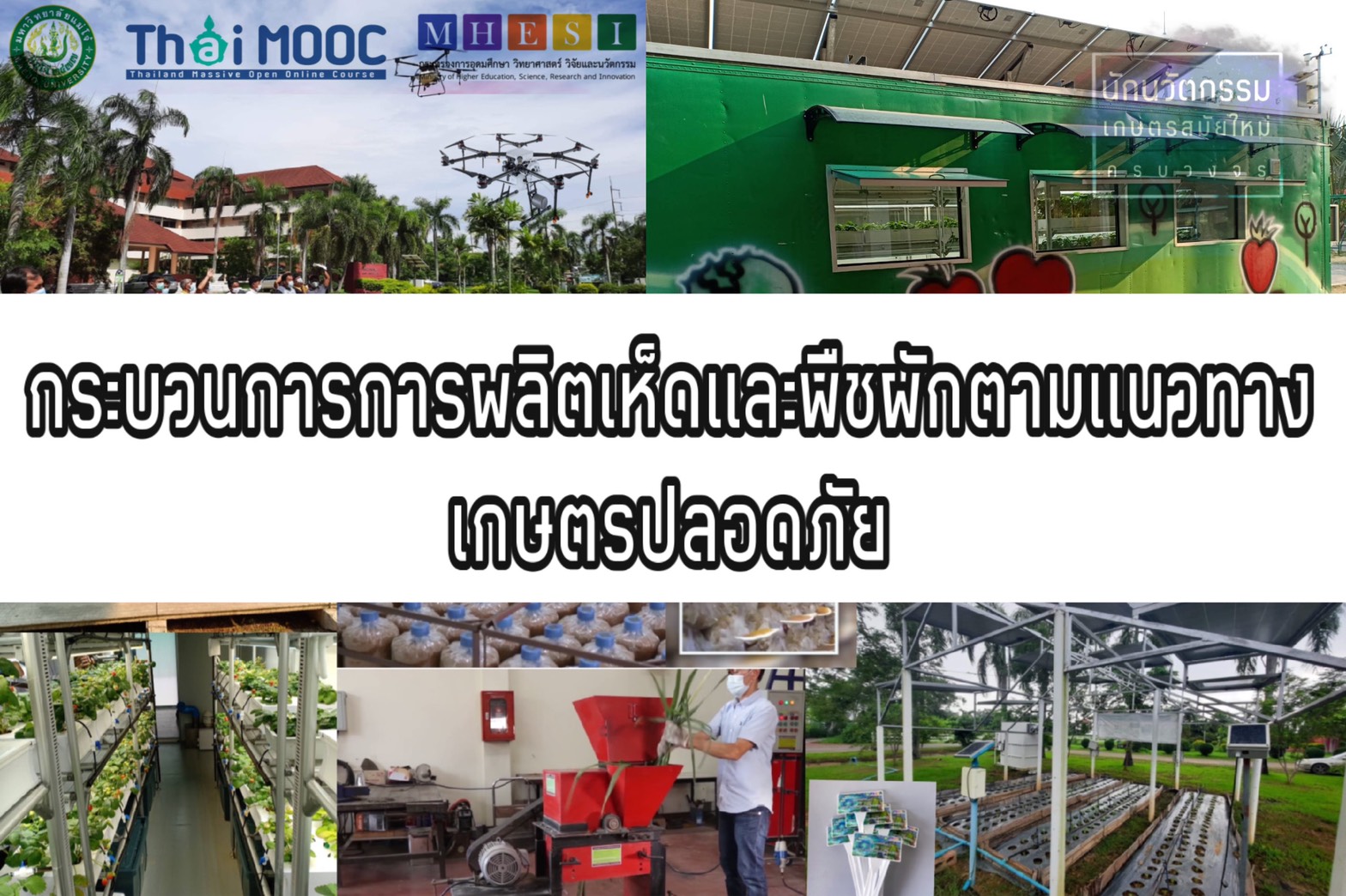 กระบวนการการผลิตเห็ดและพืชผักตามแนวทางเกษตรปลอดภัย (Mushroom and vegetable production via Good Agricultural Practice (GAP)) 00327