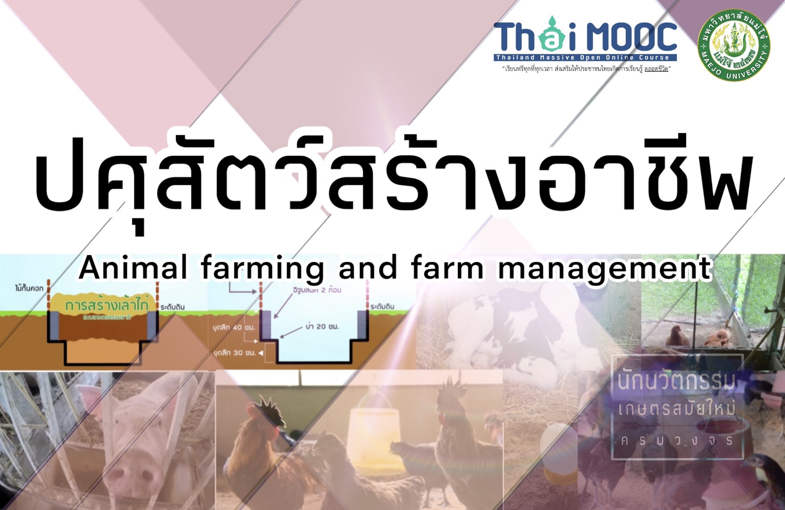 ปศุสัตว์สร้างอาชีพ | Animal farming and farm management 00328