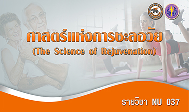 ศาสตร์แห่งการชะลอวัย | The Science of Rejuvenation 00437